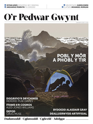 Rhifyn 12 / Gwanwyn 2020