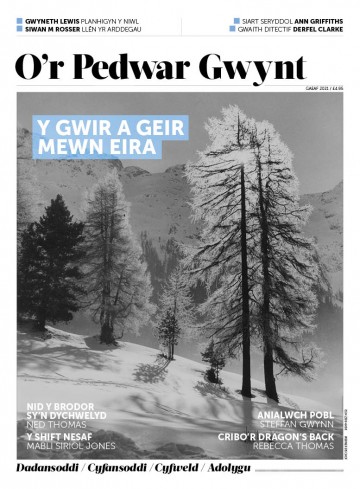 Rhifyn 17 / Gaeaf 2021