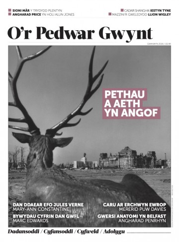 Rhifyn 29 / Gwanwyn 2026